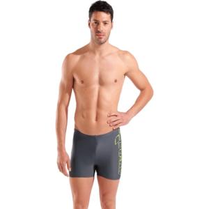 Плавки-шорти для чоловіків Arena SCRATCHY SWIM SHORT сірий Чол